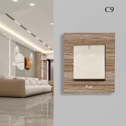 C9-K01A BK01A 10A 1GANG SWITCH