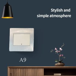 A9 K01 BK01A 10A 1GANG SWITCH