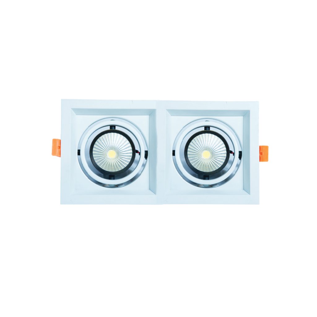 WKS-1020 (2X10W) Conceal Spot Light White