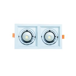 WKS-1020 (2X10W) Conceal Spot Light White