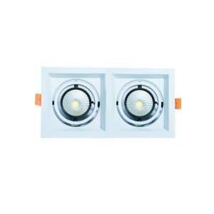 WKS-1020 (2X10W) Conceal Spot Light White