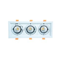 WKS-1020 (3X10W) Conceal Spot Light White