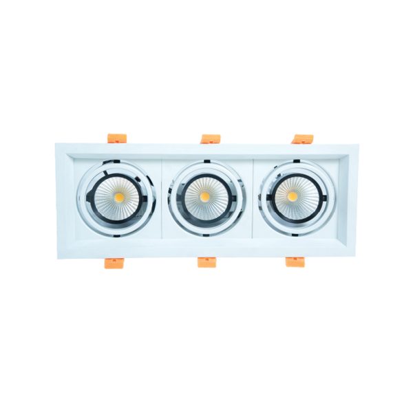 WKS-1020 (3X10W) Conceal Spot Light White