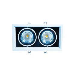 WKS-1392 (10X2)W Conceal Spot Light