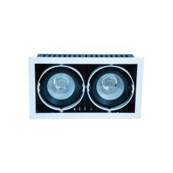 WKS-1392-A (10X2)W Conceal Spot Light