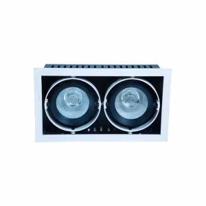 WKS-1392-A (10X2)W Conceal Spot Light