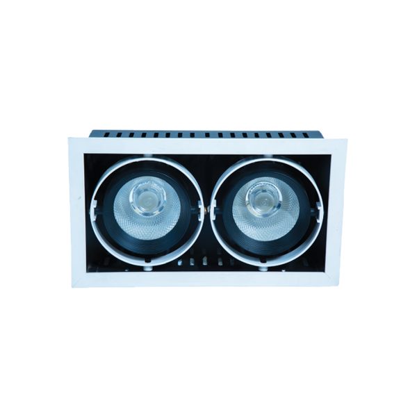 WKS-1392-A (10X2)W Conceal Spot Light