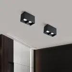 PR-1/(2X10)W Surface Down Spot Light