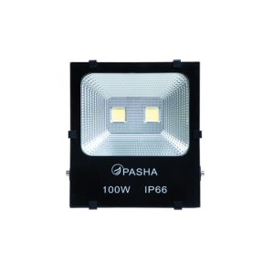 5054/100W LED Flood Light COB