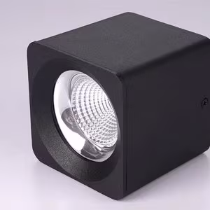 WKS-9436/25W LED Down Spot Light