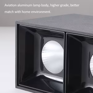 PR-1/(2X10)W Surface Down Spot Light Black
