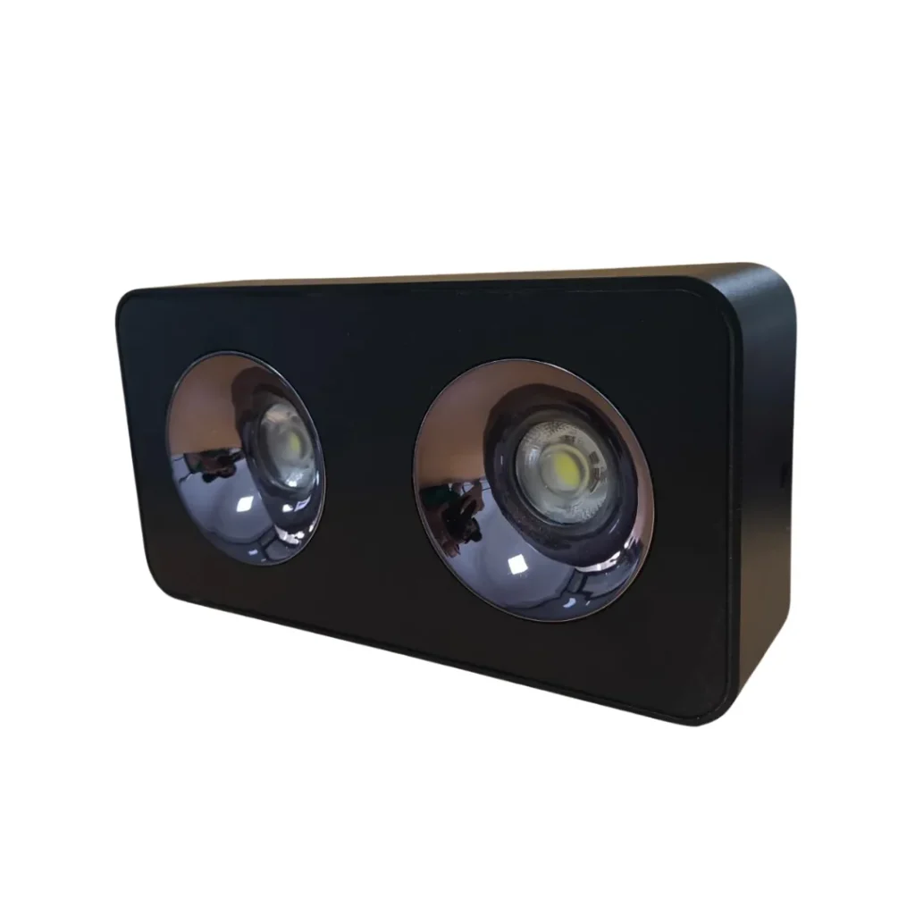 86010(2X10)W Surface Down Light Spot Black