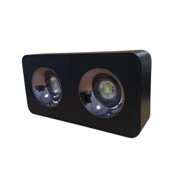 86010(2X10)W Surface Down Light Spot Black