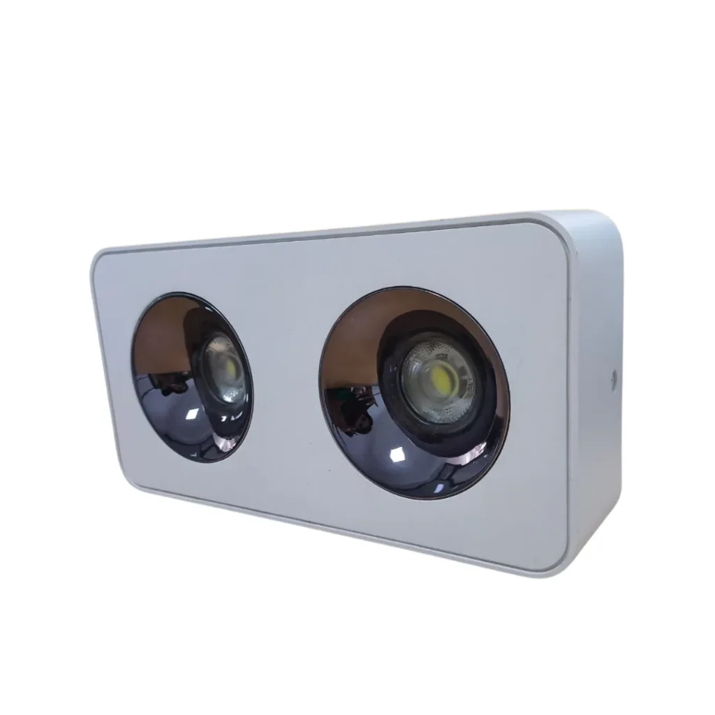86010/(2X10)W Surface Down Light Spot White