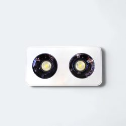 86010(2X10)W Surface WHB