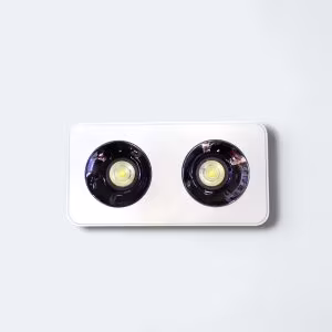 86010(2X10)W Surface WHB