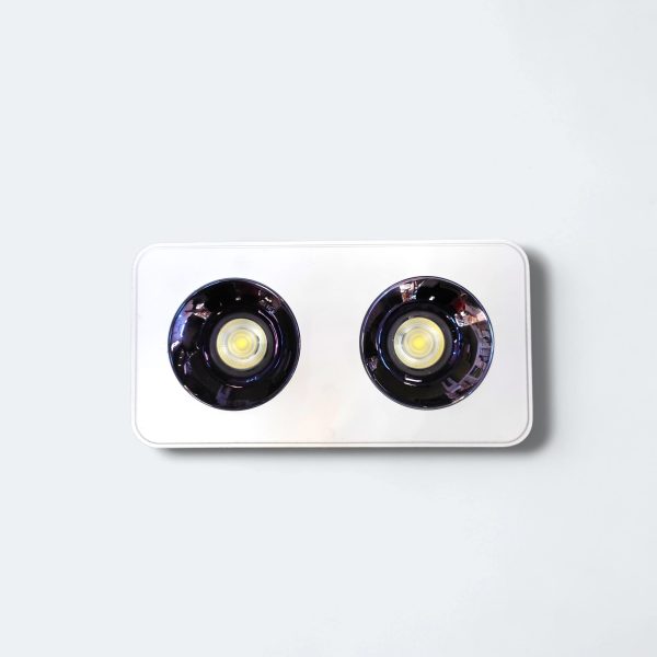 86010(2X10)W Surface WHB