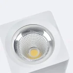 WKS-9436/25W LED Down Spot Light