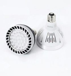 PAR-30 LED Track Light