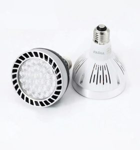 PAR-30 LED Track Light