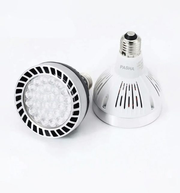 PAR-30 LED Track Light