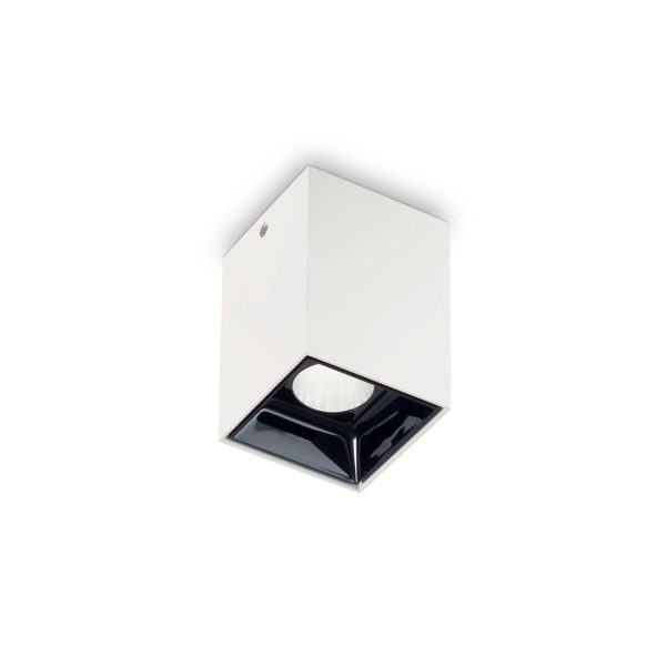 PR-1-10W Surface Down Spot Light white
