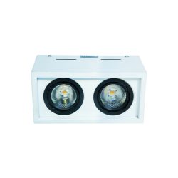 WKS-2090-2X10W Surface Spot Light