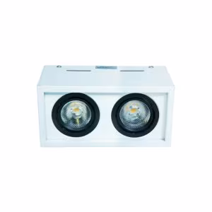 WKS-2090-2X10W Surface Spot Light