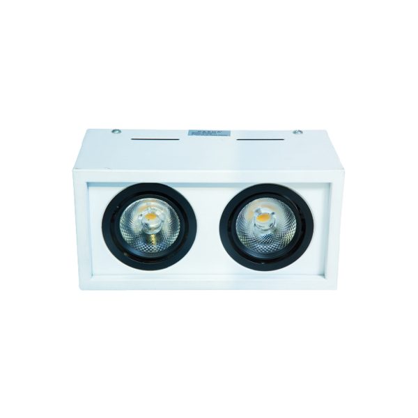 WKS-2090-2X10W Surface Spot Light