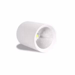 WKS-32281 Surface LED Spot Light White