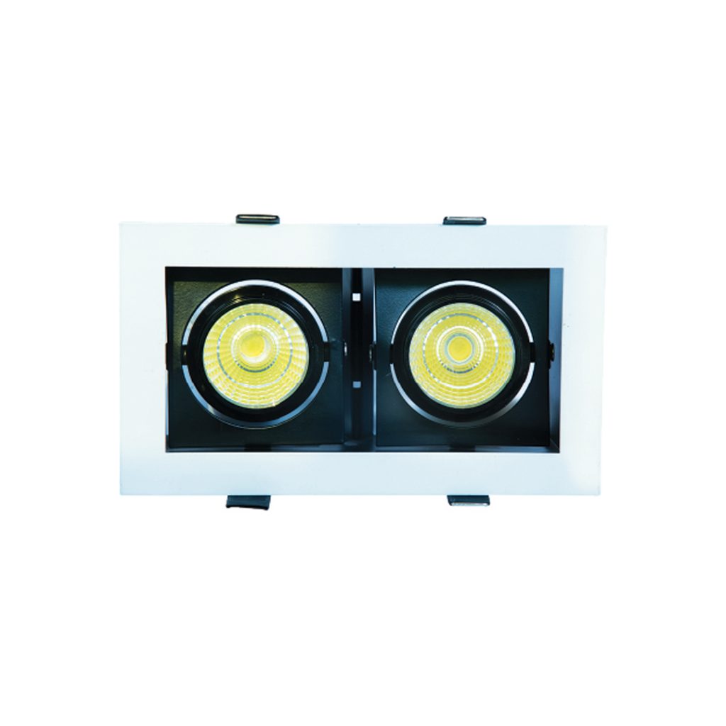 WKS-81005 (2x10W) Conceal Spot Light