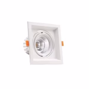 WKS-81010/12W Conceal Spot Light