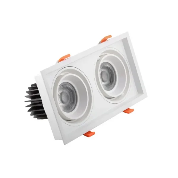 WKS-81010-2x12W Conceal Spot Light