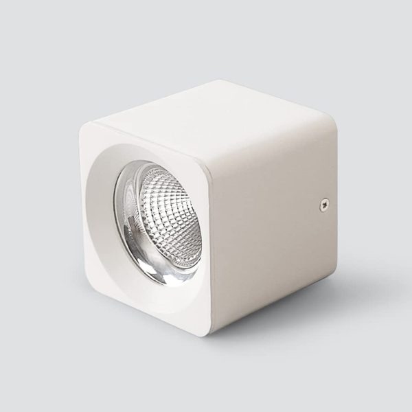 WKS-9436/25W LED Down Spot Light