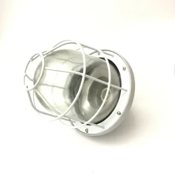 YG-SFFB-50W Explosion Fire Proof Flood light