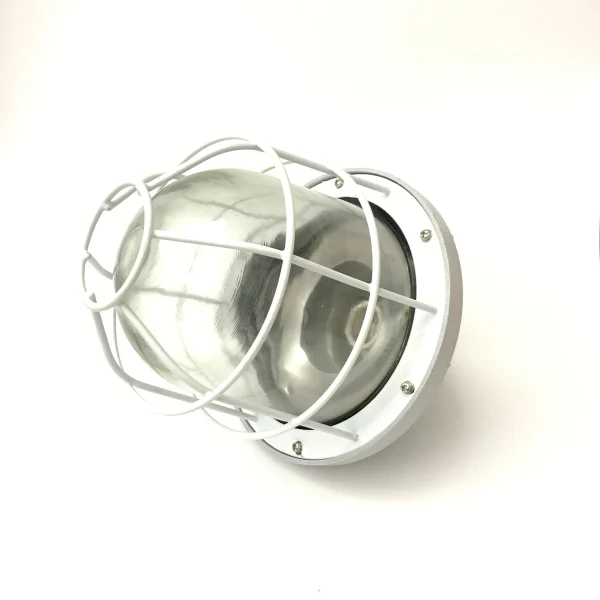 YG-SFFB-50W Explosion Fire Proof Flood light