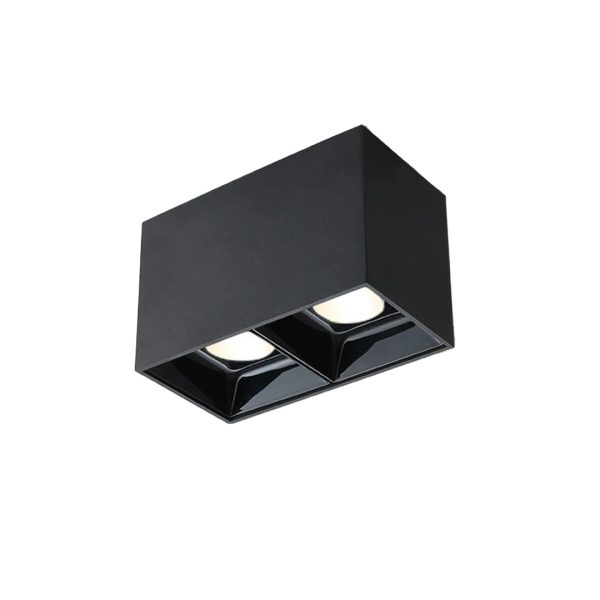 PR-1/(2X10)W Surface Down Spot Light Black