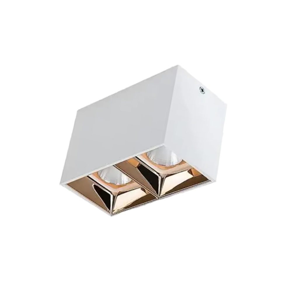 PR-1/(2X10)W Surface Down Spot Light White