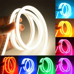 LED Neon D-Type Strip Light