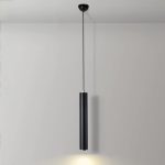 8901 Hanging Light