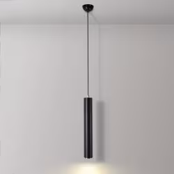 8901 Hanging Light