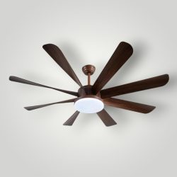 54-886 Jhar Fan with Light