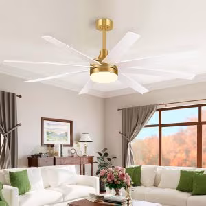 60 inch Ceiling Fan with LED Light